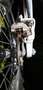 Honda CRF 250 Honda CRFX 250 Enduro Rood - thumbnail 3