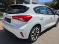 Ford Focus Trend Weiß - thumbnail 6