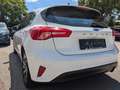Ford Focus Trend Weiß - thumbnail 3