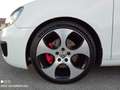 Volkswagen Golf GTI 5p 2.0 tsi dsg/TAGLIANDI VW/PERFETTA Weiß - thumbnail 4