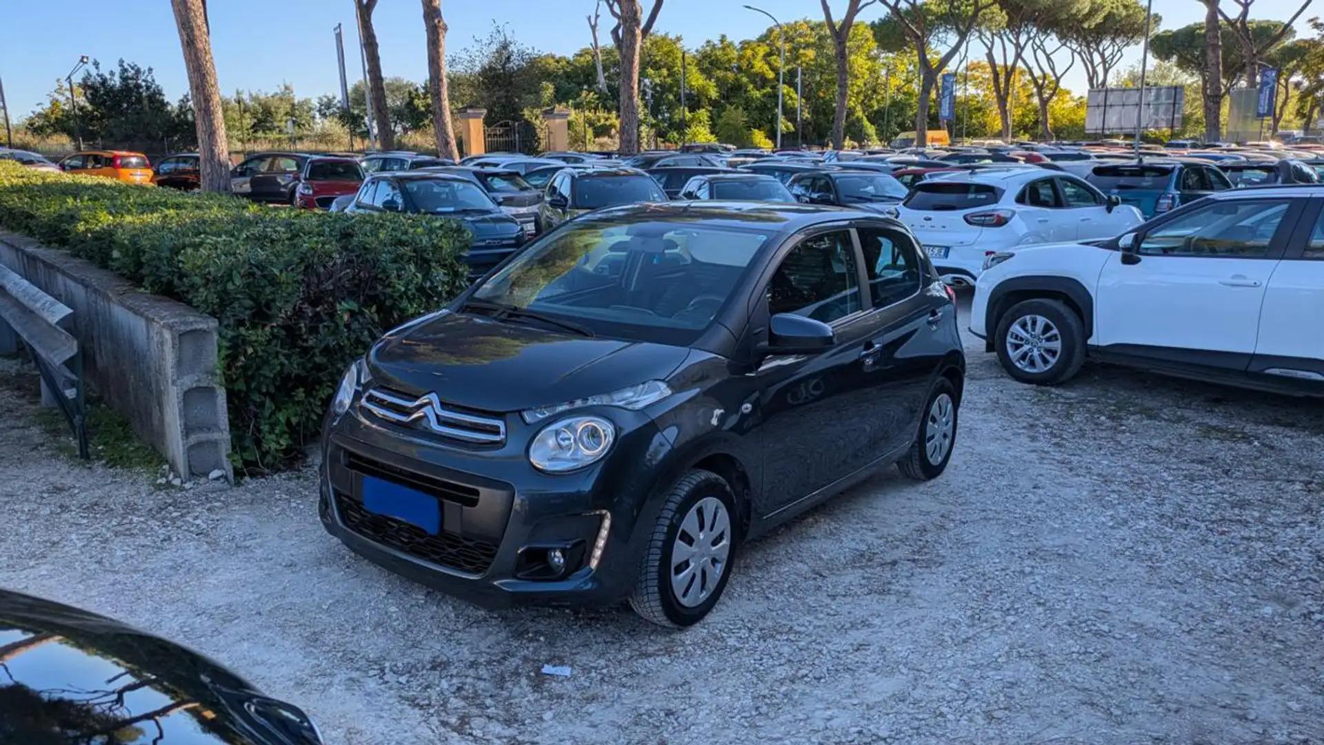 Citroen C1 1.0cc 69cv Grigio - 1