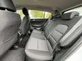 Kia Sportage 1.6 gdi Style Techno&Safety pack 2wd 132cv Bianco - thumbnail 7