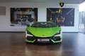 Lamborghini Revuelto 6.5 V12 1015 Grün - thumbnail 5