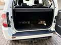 Suzuki Grand Vitara 1.6 Club (3-trg.) Weiß - thumbnail 17