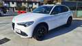 Alfa Romeo Stelvio 2.2 Turbodiesel 210 CV AT8 Q4 B-Tech N°FZ640 Bianco - thumbnail 1