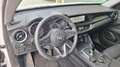 Alfa Romeo Stelvio 2.2 Turbodiesel 210 CV AT8 Q4 B-Tech N°FZ640 Bianco - thumbnail 2
