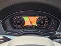 Audi Q5 Q5 35 TDI quattro S tronic/TREKH/APPLE-ANDROID/VC Gris - thumbnail 18
