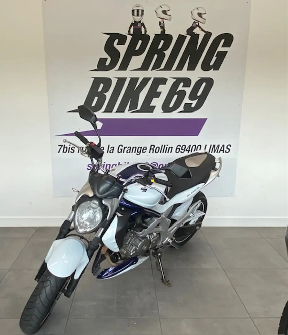 Suzuki Gladius 650 Wit - 2