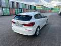 BMW 116 116d 5p. Advantage SPORT Bianco - thumbnail 5