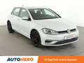 Volkswagen Golf 1.4 TSI Comfortline BM Aut*PDC*SHZ*KLIMA*GARANTIE Weiß - thumbnail 8