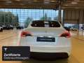 Tesla Model Y Rear-Wheel Drive Wit - thumbnail 5