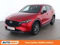 Mazda CX-5 2.2 SKYACTIV-D Homura Plus AWD Rot - thumbnail 1