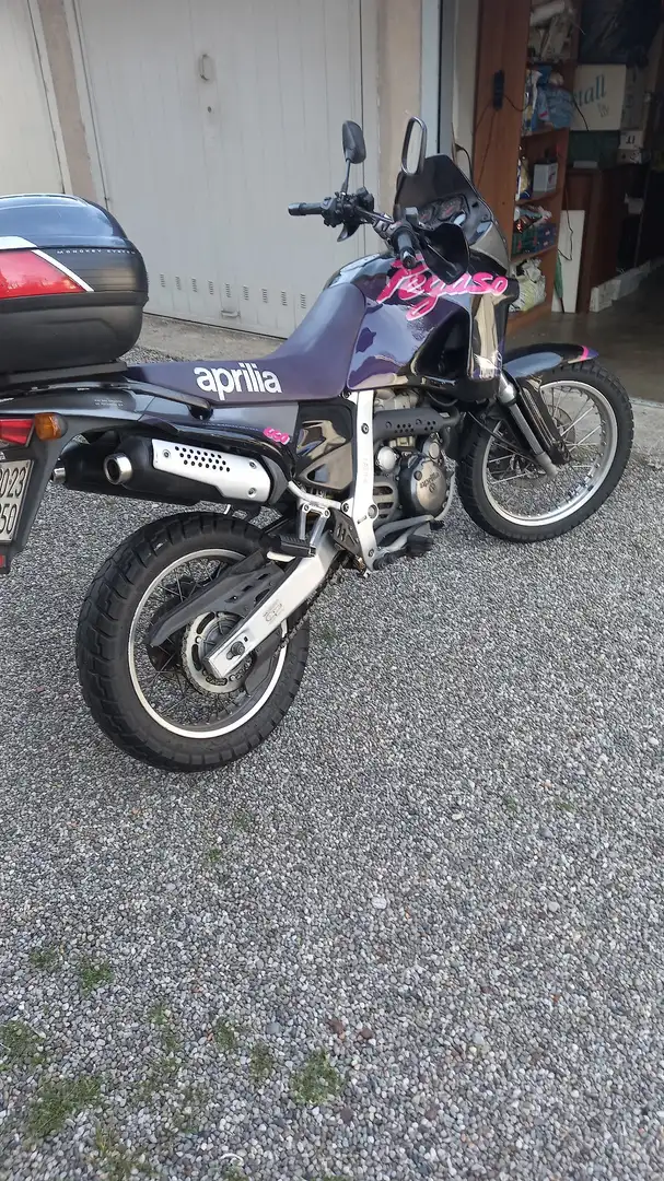 Aprilia Pegaso 650 Lila - 1