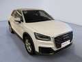 Audi Q2 2.0 TDI quattro S tronic Sport - GLI UNICI A VERO - thumbnail 3