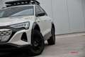 Audi Q8 e-tron Q8 e-tron 55 quattro edition Dakar Beige - thumbnail 7