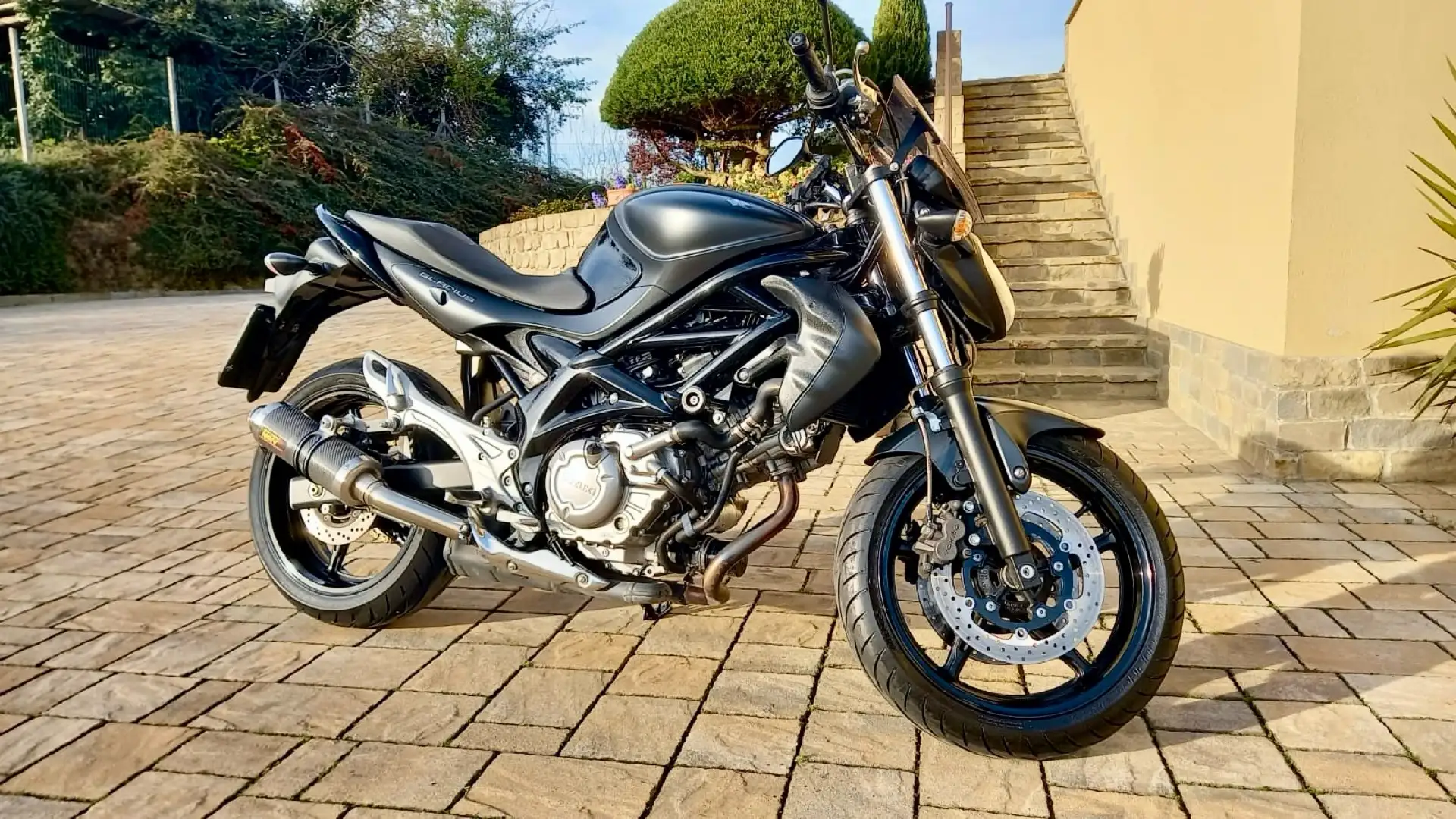 Suzuki Gladius 650 - 1