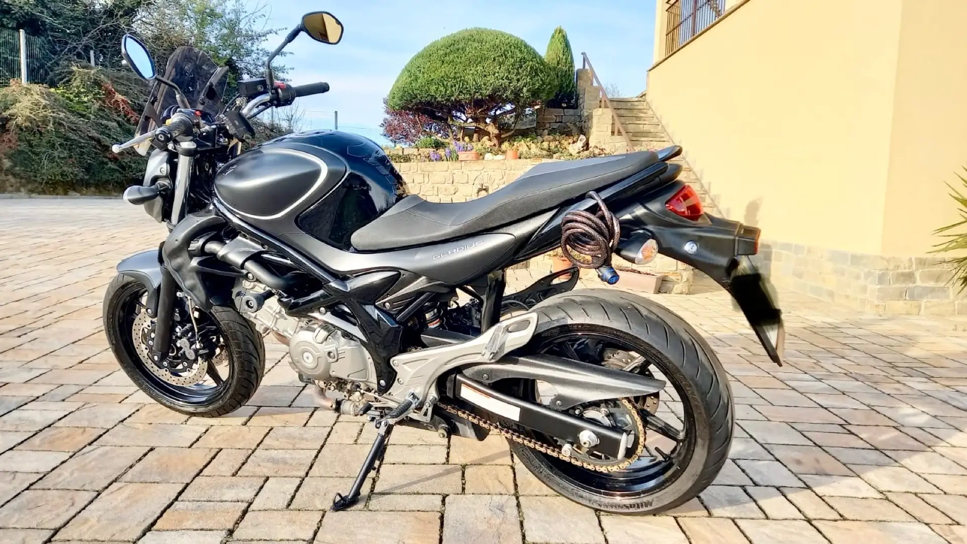 Suzuki Gladius 650 - 2