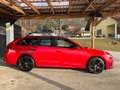 Skoda Octavia RS 4x4 MATRIX ANHÄNGEVORRICHTUNG MULTI SHZ VIR Rot - thumbnail 4