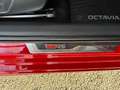 Skoda Octavia RS 4x4 MATRIX ANHÄNGEVORRICHTUNG MULTI SHZ VIR Rot - thumbnail 23