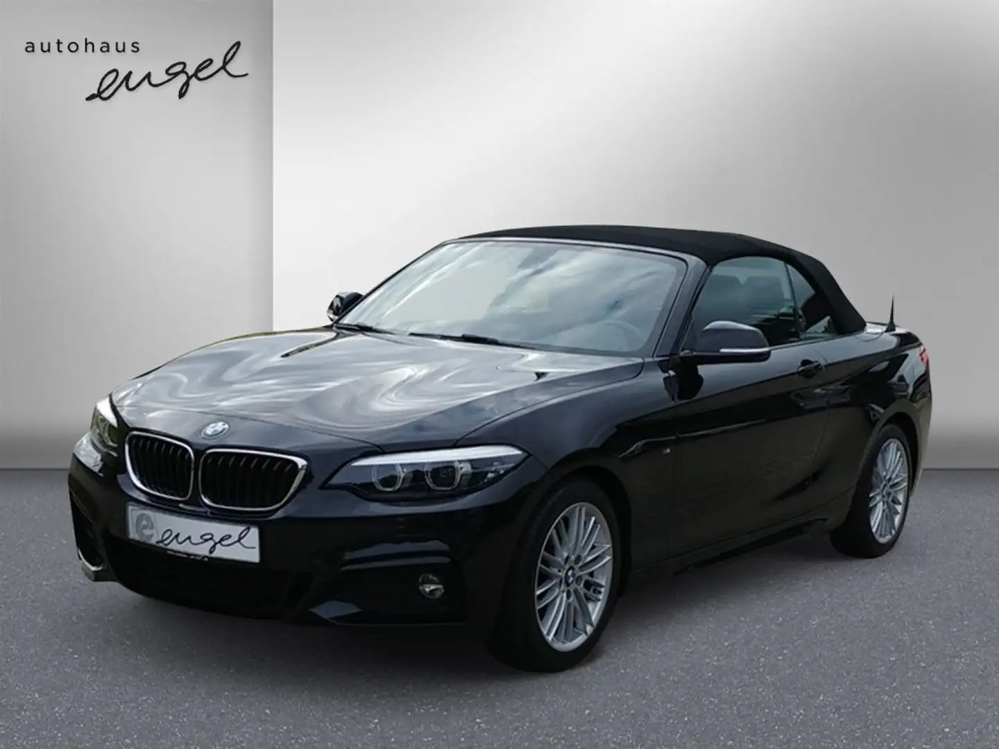 BMW 218 218i Cabrio M Sport,NAV,LED,SHZ,LENKRADHEIZUNG,PDC Schwarz - 2