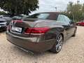Mercedes-Benz E 250 Cabrio AMG 360Kam*ACC*Navi*SitzHz. Braun - thumbnail 4