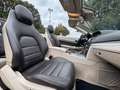 Mercedes-Benz E 250 Cabrio AMG 360Kam*ACC*Navi*SitzHz. Braun - thumbnail 13