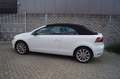 Volkswagen Golf Cabriolet 1.2 TSI BlueMotion Navi Camera Clima Sportst Cruis Blanco - thumbnail 39