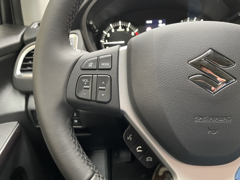 Suzuki S-Cross 1.4 Boosterjet SmartHybride Select [ CAMERA I CARP — photo 25