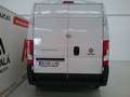 Fiat Ducato Fg. 35 2.3Mjt L2 H2 140CV Blanc - thumbnail 13