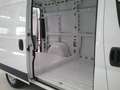 Fiat Ducato Fg. 35 2.3Mjt L2 H2 140CV Blanc - thumbnail 5