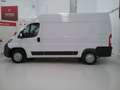 Fiat Ducato Fg. 35 2.3Mjt L2 H2 140CV Blanc - thumbnail 14