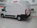 Fiat Ducato Fg. 35 2.3Mjt L2 H2 140CV Blanc - thumbnail 7