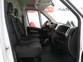 Fiat Ducato Fg. 35 2.3Mjt L2 H2 140CV Blanc - thumbnail 4
