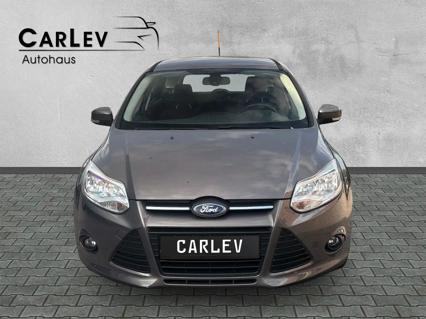 Ford Focus Start/Stop PDC Zahnriemen neu Braun - 2