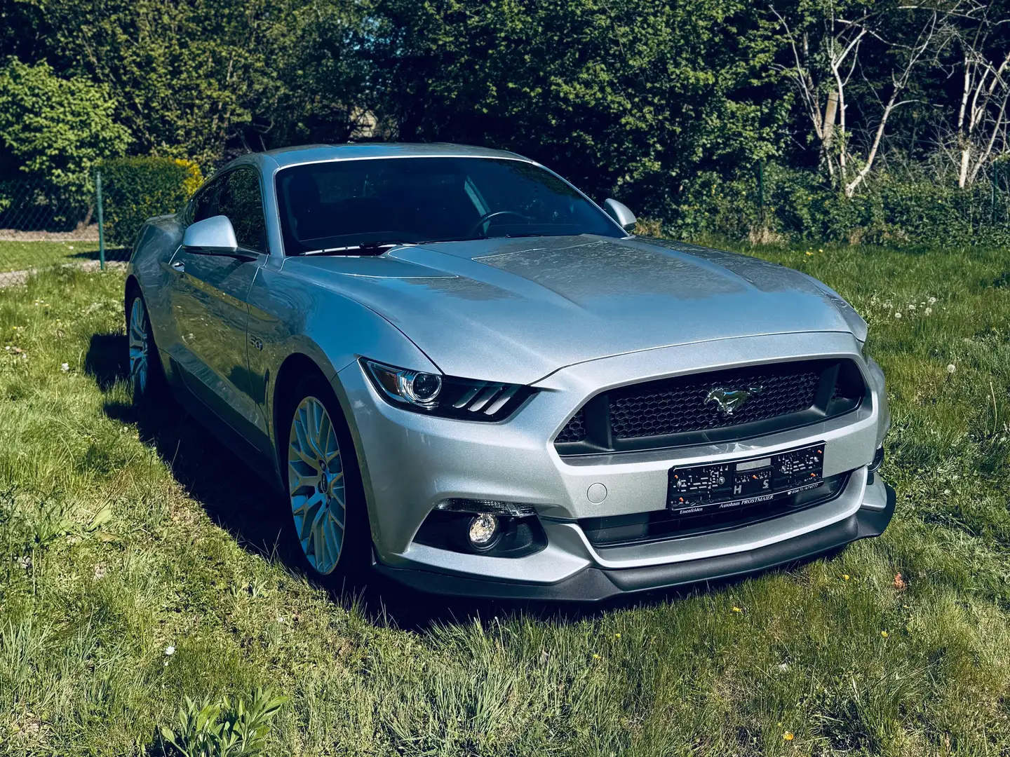 Ford Mustang GT 5.0 V8 Coupé Silber - 1