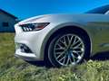 Ford Mustang GT 5.0 V8 Coupé Silber - thumbnail 4