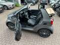 smart forTwo fortwo 66kW Cabrio BRABUS tm*LEDER*NAVI*SHZ*KAM* Grau - thumbnail 26