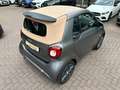 smart forTwo fortwo 66kW Cabrio BRABUS tm*LEDER*NAVI*SHZ*KAM* Grau - thumbnail 7