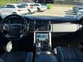 Land Rover Range Rover Range Rover IV 2013 4.4 sdV8 Vogue auto TETTO/TV Nero - thumbnail 8