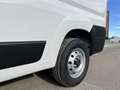 Toyota Proace Max KW L3H2, 4-türig 2,2 Diesel 140 ProWork 35 Weiß - thumbnail 12