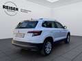 Skoda Karoq 4x4 Style TDI SCR Weiß - thumbnail 7