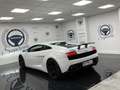 Lamborghini Gallardo LP 560-4 Blanco - thumbnail 3
