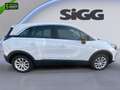 Opel Crossland 1.2 Turbo Elegance Klimaautomatik Kamera SHZ Lenkr Bílá - thumbnail 8