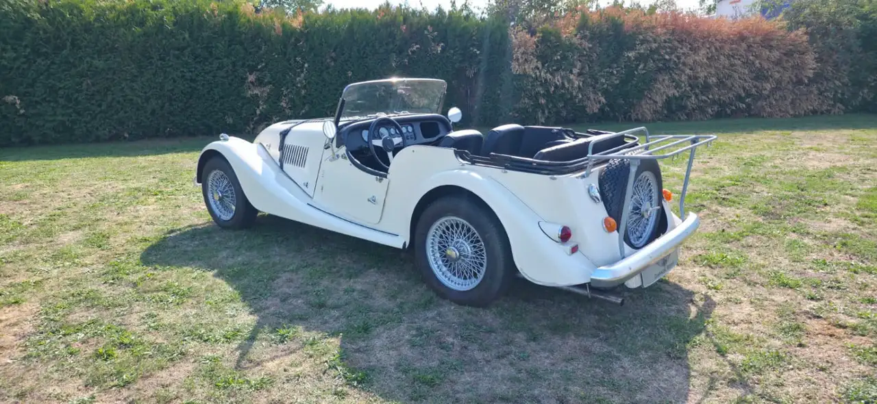 Morgan, foto 3