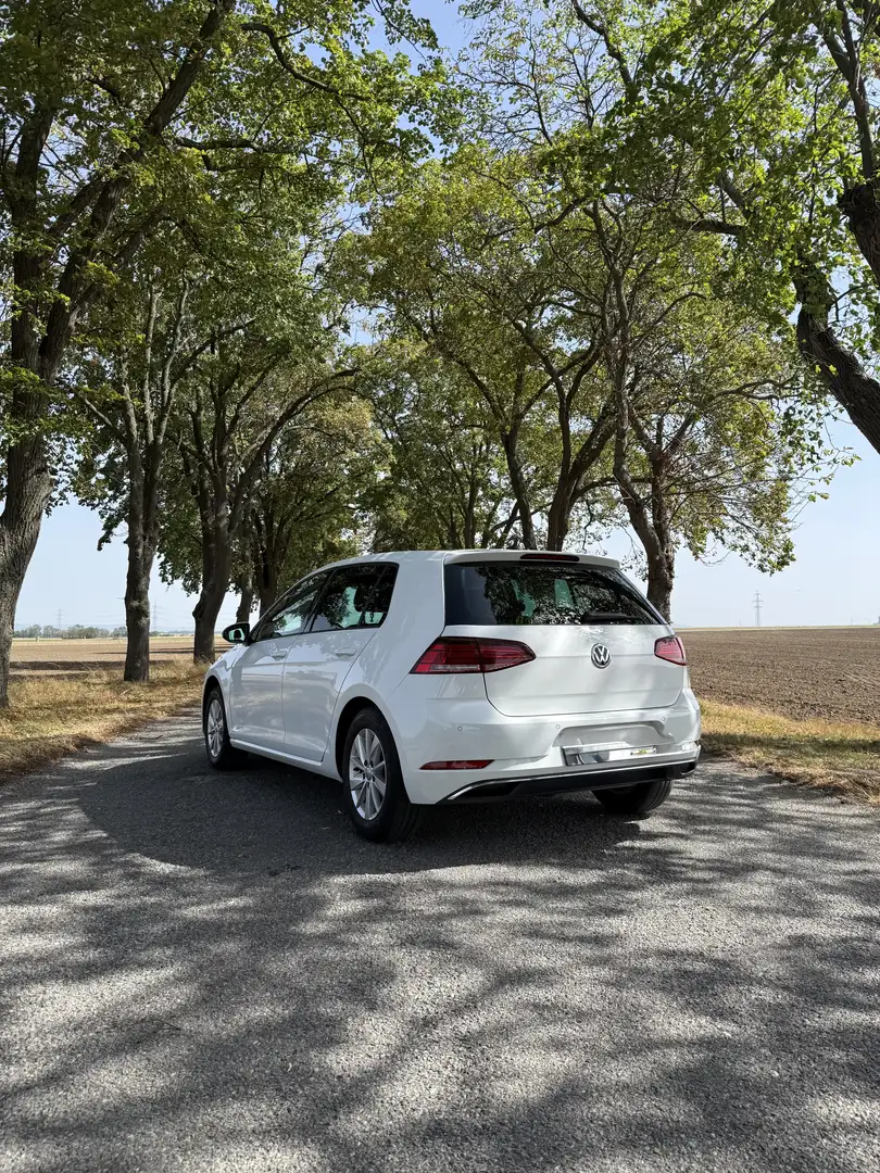 Volkswagen Golf Comfortline 1,6 TDI - 2