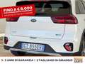 Kia Niro 1.6 gdi phev evolution dct Bianco - thumbnail 18