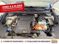 Kia Niro 1.6 gdi phev evolution dct Bianco - thumbnail 13