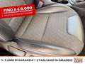 Kia Niro 1.6 gdi phev evolution dct Bianco - thumbnail 9