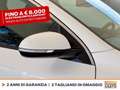 Kia Niro 1.6 gdi phev evolution dct Bianco - thumbnail 16