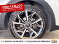 Kia Niro 1.6 gdi phev evolution dct Bianco - thumbnail 15